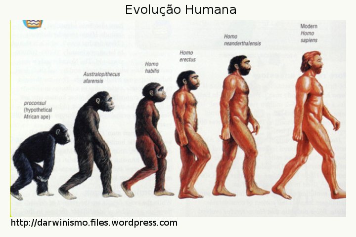 Cirilo Evolution #cirilo #calvo #evolution #feitos #cirilocalvo